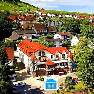 4* Отель Rebstock